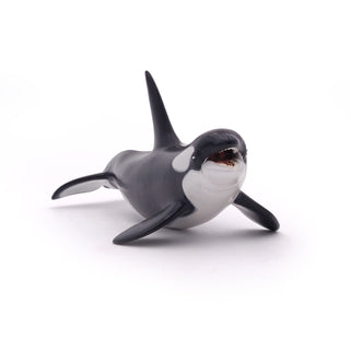 KILLER WHALE