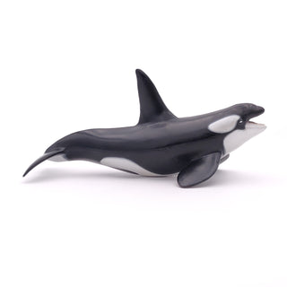 KILLER WHALE