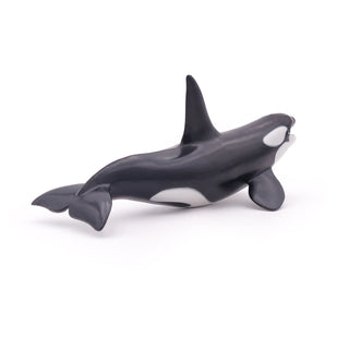 KILLER WHALE