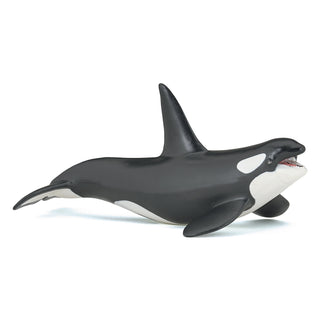 KILLER WHALE