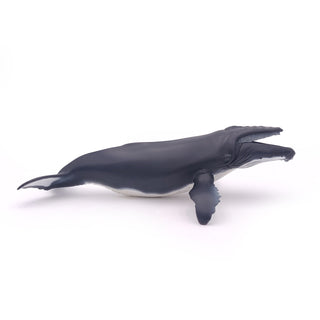 HUMPBACK WHALE