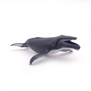 HUMPBACK WHALE