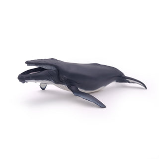 HUMPBACK WHALE
