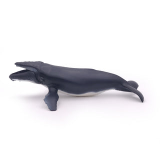 HUMPBACK WHALE