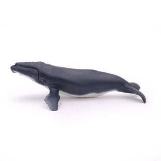 HUMPBACK WHALE