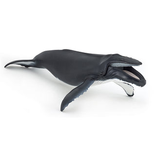 HUMPBACK WHALE