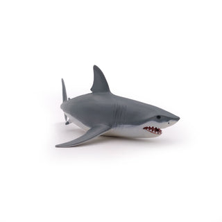 WHITE SHARK
