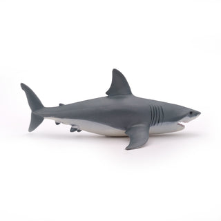 WHITE SHARK