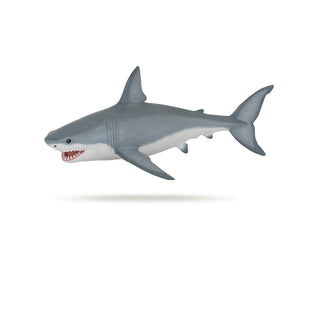 WHITE SHARK