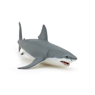 WHITE SHARK