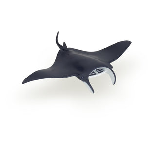 MANTA RAY