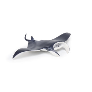 MANTA RAY