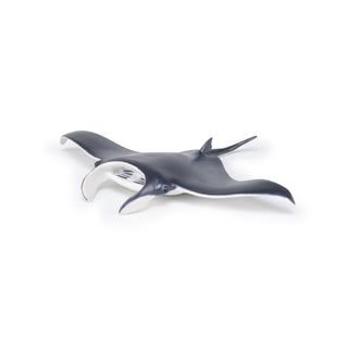 MANTA RAY
