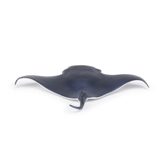 MANTA RAY