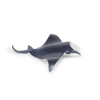 MANTA RAY