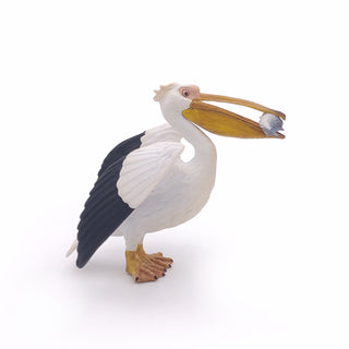 PELICAN