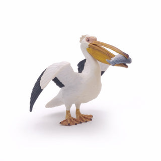 PELICAN