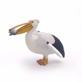 PELICAN