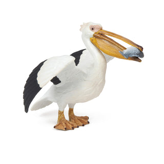 PELICAN
