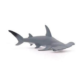 HAMMERHEAD SHARK