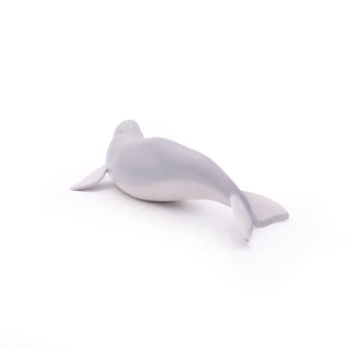 BELUGA WHALE