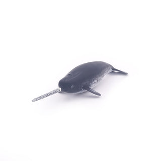 NARWHAL