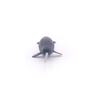 NARWHAL