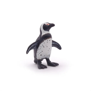AFRICAN PENGUIN