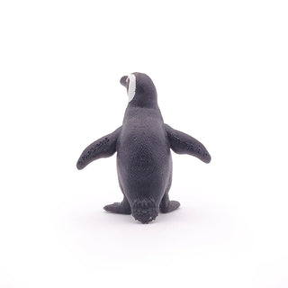 AFRICAN PENGUIN