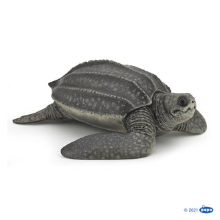 LEATHERBACK TURTLE