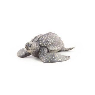 LEATHERBACK TURTLE