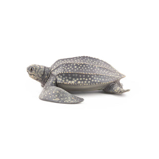 LEATHERBACK TURTLE