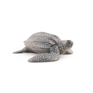 LEATHERBACK TURTLE