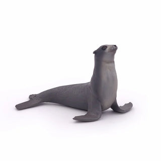 SEA LION