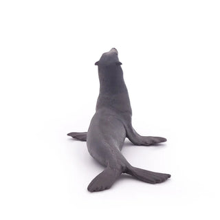 SEA LION