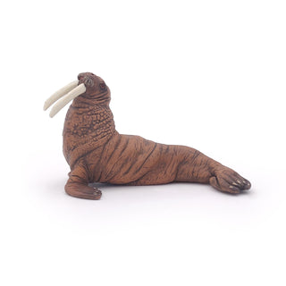 WALRUS