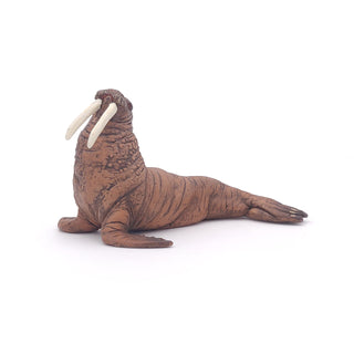WALRUS