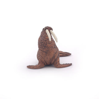 WALRUS