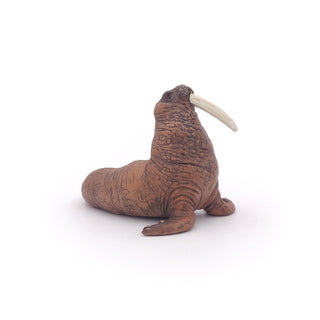 WALRUS