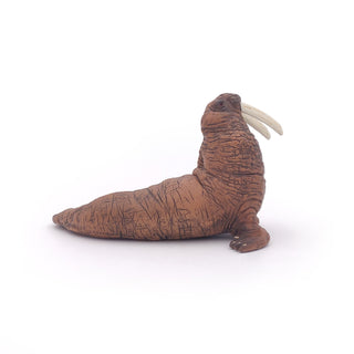 WALRUS