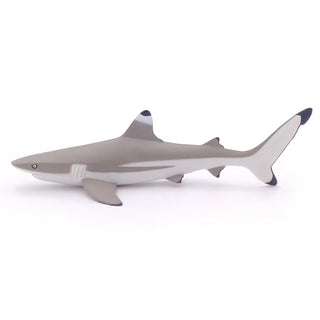 BLACK TIP SHARK