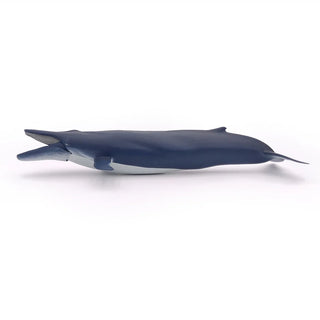 BLUE WHALE