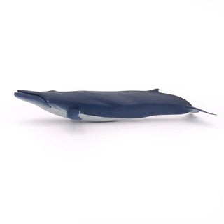 BLUE WHALE