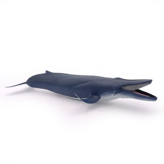 BLUE WHALE