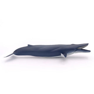 BLUE WHALE