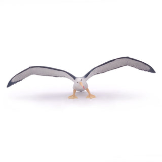 ALBATROSS