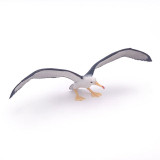 ALBATROSS