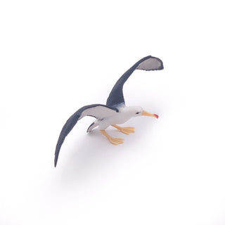ALBATROSS