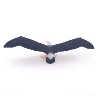 ALBATROSS