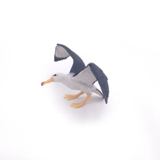 ALBATROSS